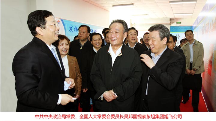 時任全國人大常委會委員長吳邦國視察東旭集團(tuán)旭飛公司