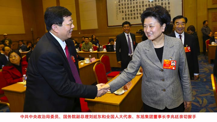 國務(wù)院副總理劉延?xùn)|會見東旭集團(tuán)董事長李兆廷