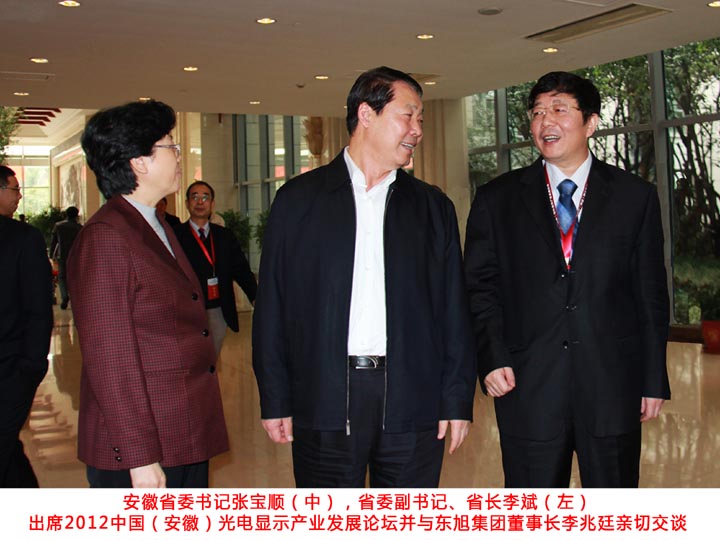 安徽省委書(shū)記張寶順與東旭集團(tuán)董事長(zhǎng)李兆廷親切交談